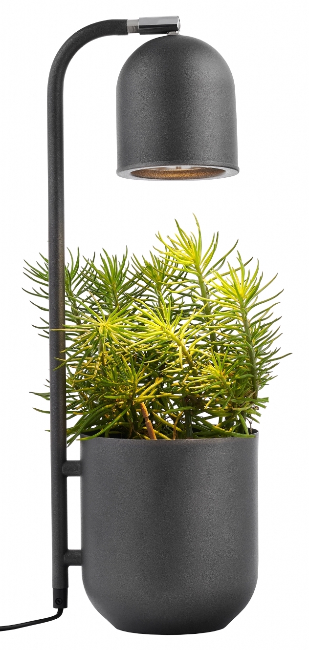Lampa stołowa Botanica ∅16x52 cm grafitowa – obraz-1