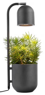 Lampa stołowa Botanica ∅16x52 cm grafitowa – obraz-1