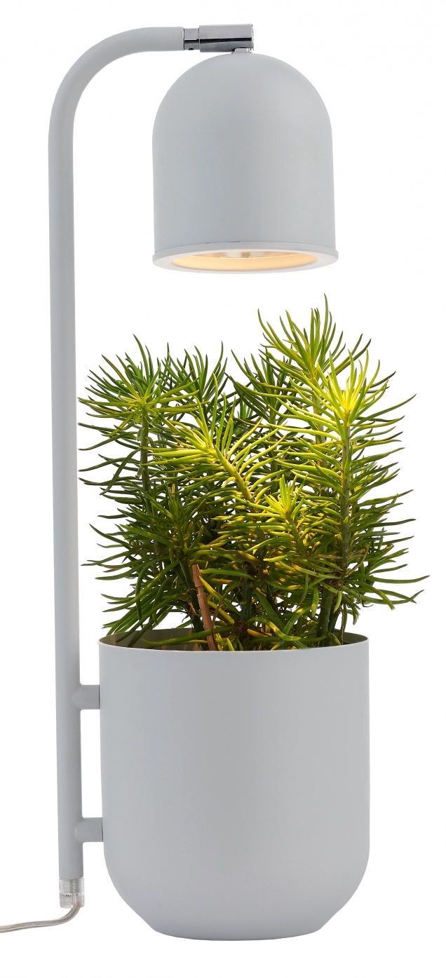 Lampa stołowa Botanica ∅16x52 cm jasnoszara – obraz-1
