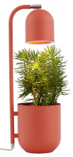 Lampa stołowa Botanica ∅16x52 cm koralowa – obraz-1