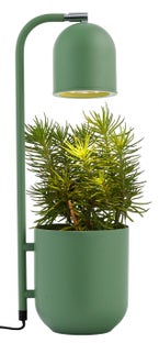 Lampa stołowa Botanica ∅16x52 cm miętowa Outlet – obraz-1