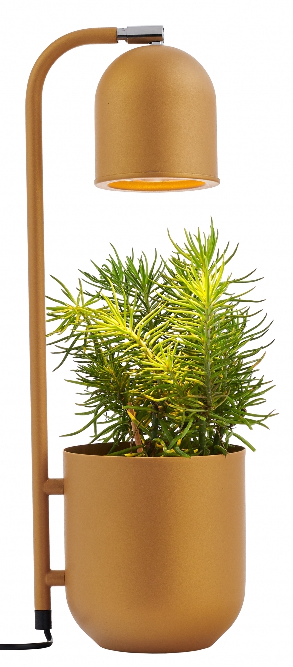 Lampa stołowa Botanica ∅16x52 cm musztardowa – obraz-1