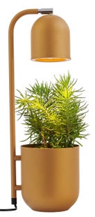 Lampa stołowa Botanica ∅16x52 cm musztardowa – obraz-1