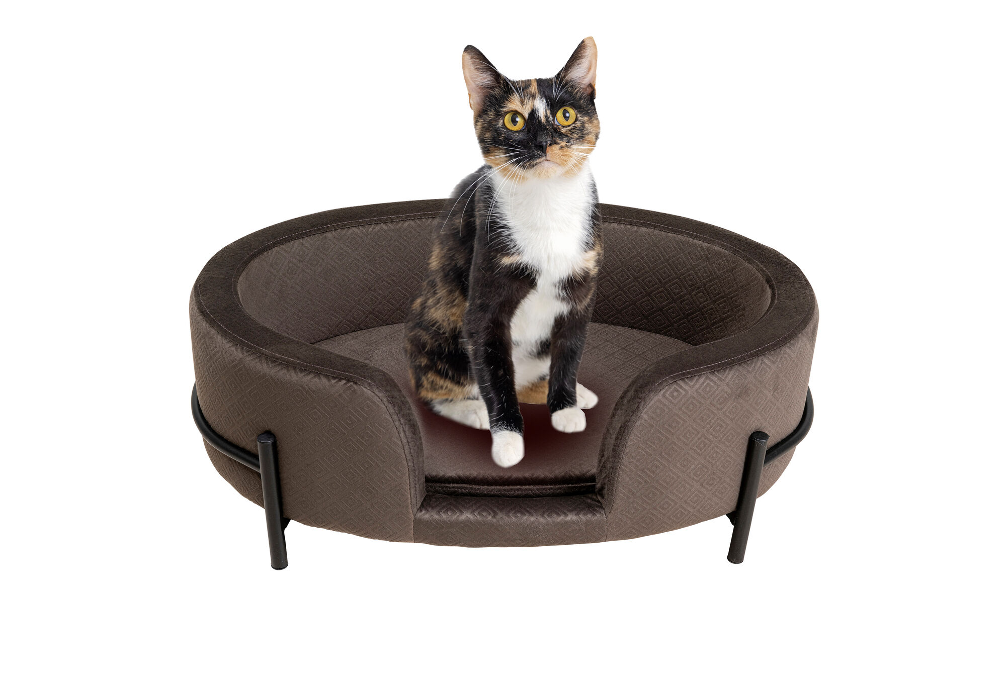 Pat pentru câine sau pisica Day 61x42 cm gri – imagine-1.