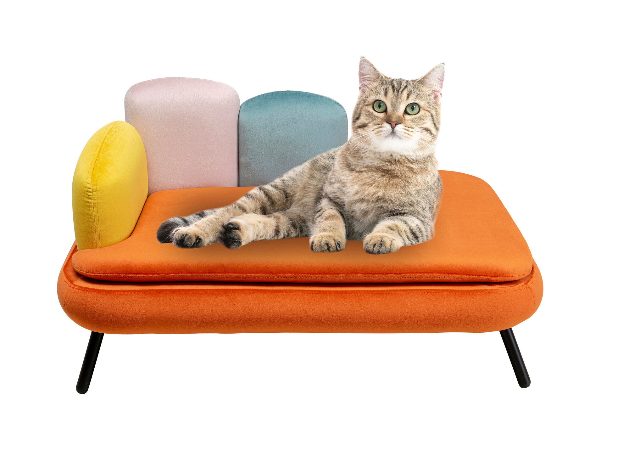 Cama para perro/gato Diva naranja – Imagen-1.