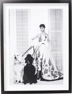 Tablou cu rama Actor Audrey Diva 65x85cm – imagine-1.