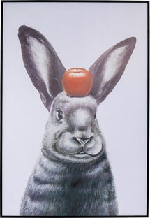 Kanin med æble – billede-1.