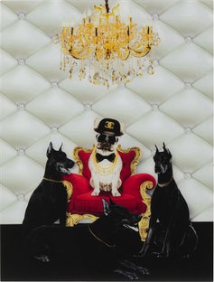 Obraz the dog king kolorowy 60x80 cm – obraz-1