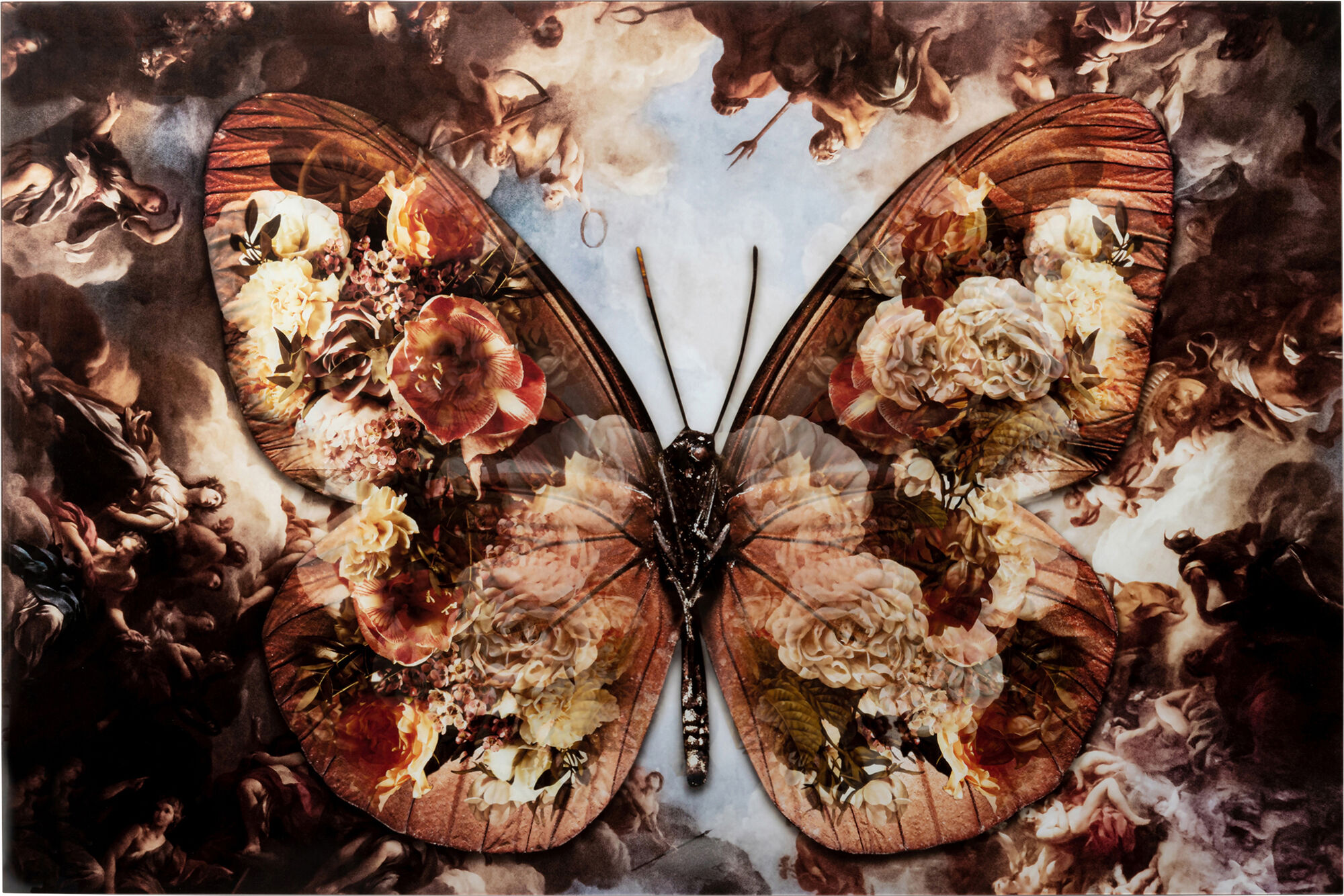 Картина Butterfly 150x100cm – изображение-1.