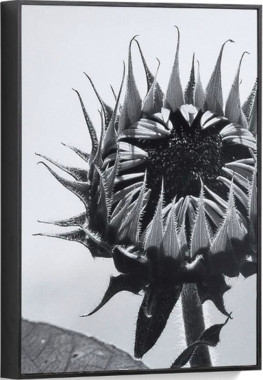 Obraz 30x40 cm czarno-biały – obraz-1