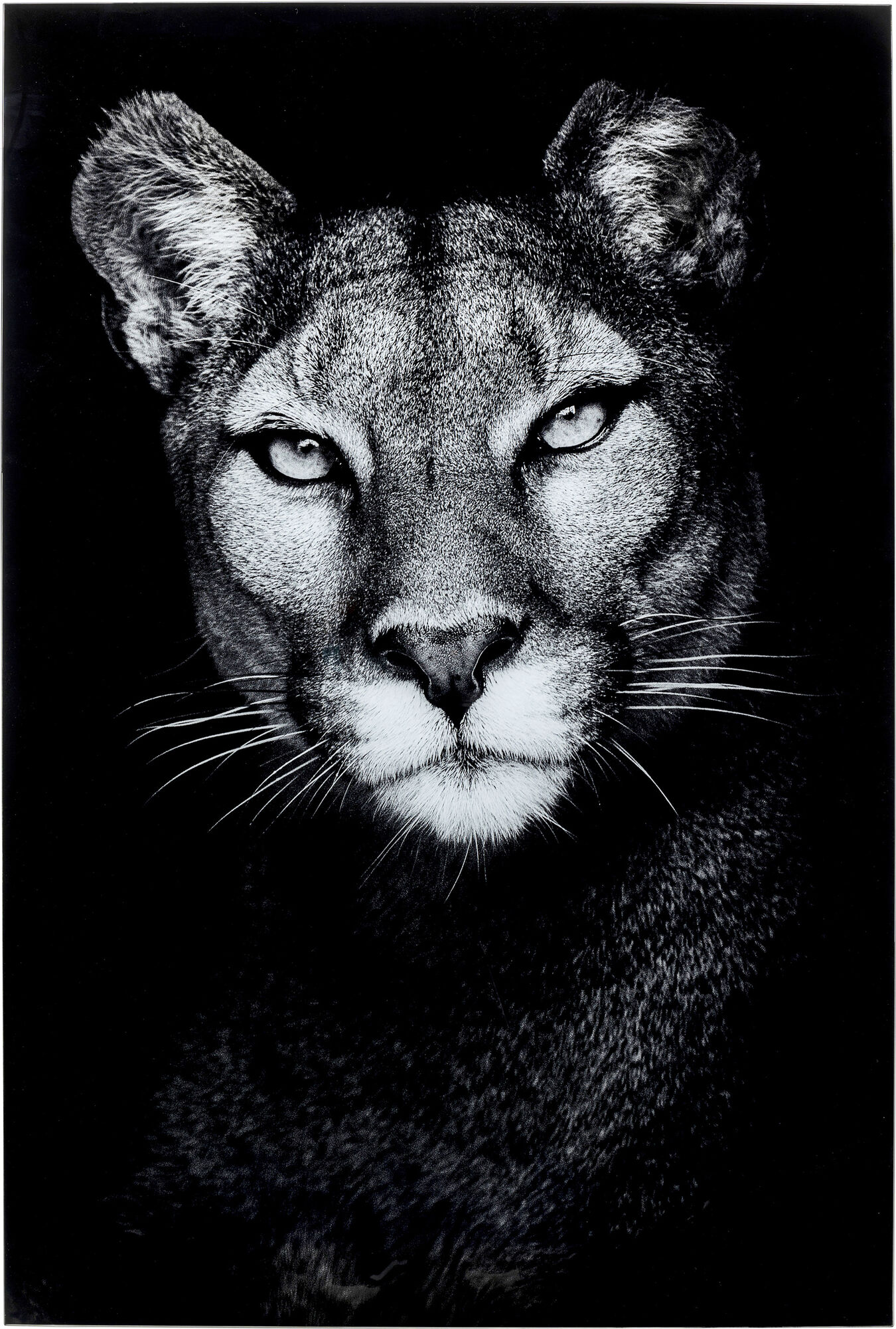 Glassbilde Cat Girl 80x120cm – bilde-1.