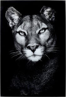 Glassbilde Cat Girl 80x120cm – bilde-1.