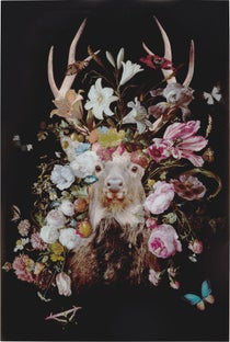 Deer Garden Üvegkép 80X120Cm – kép-1.