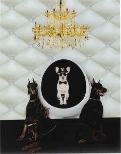 Doberman Bodyguards lasitaulu 60x80 – kuva-1.