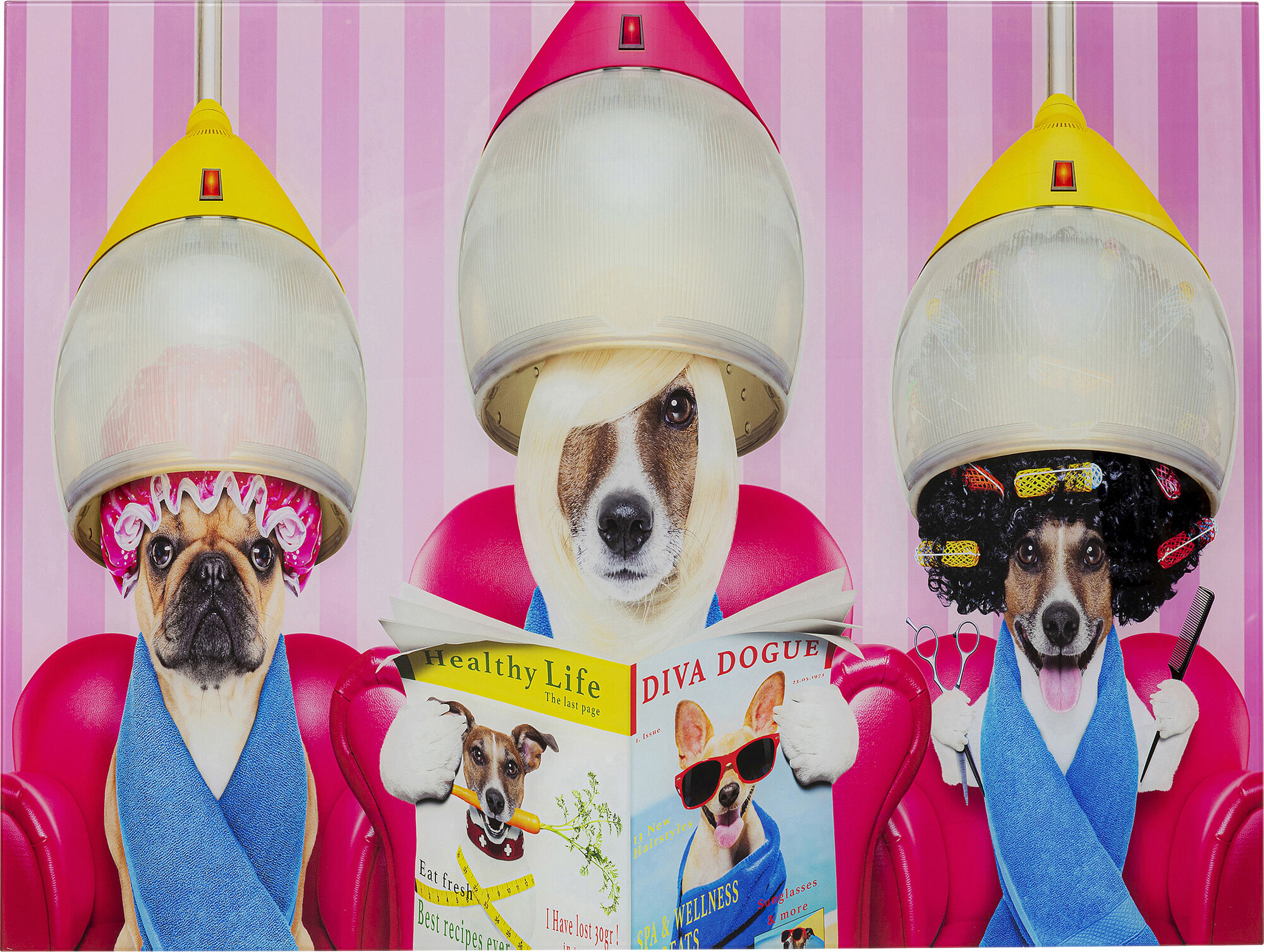 Obraz Dogs Day Salon 80x60 cm – obraz-1