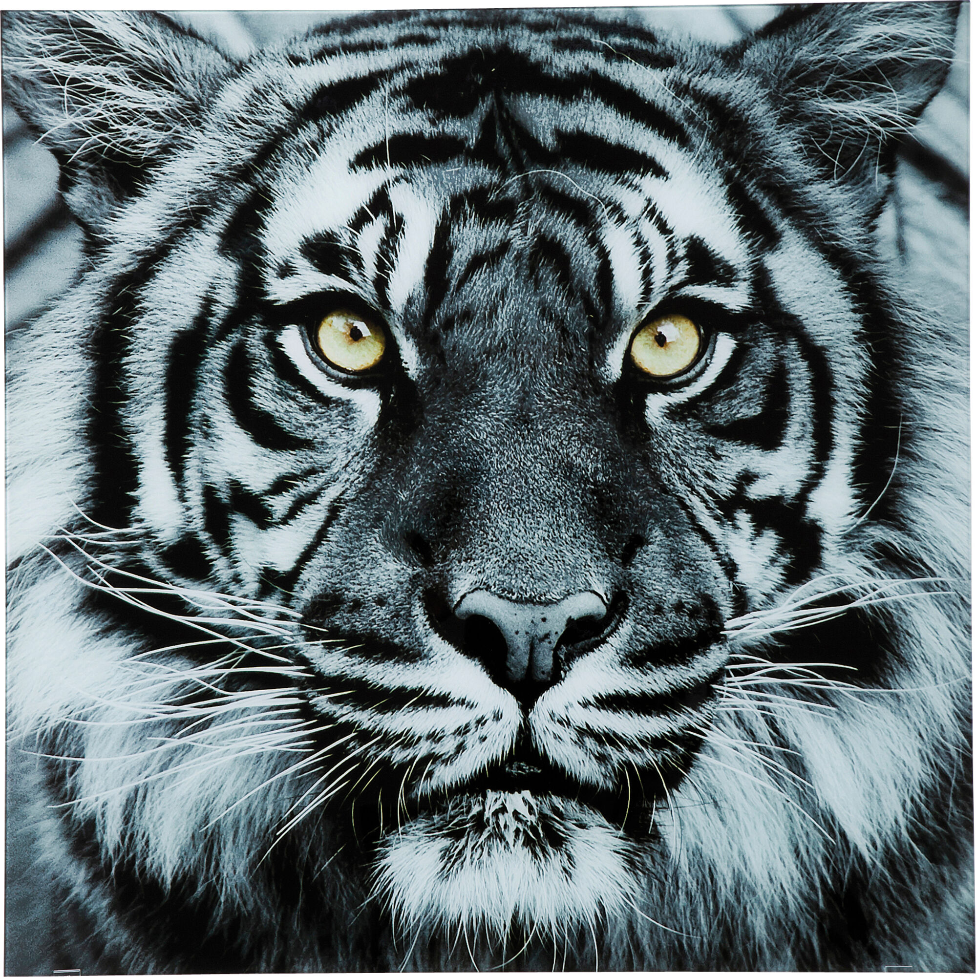 Obraz szklany biało- czarny 80x80 cm – obraz-1