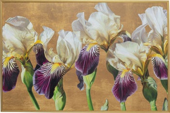 Iris blomster, billede i ramme – billede-1.