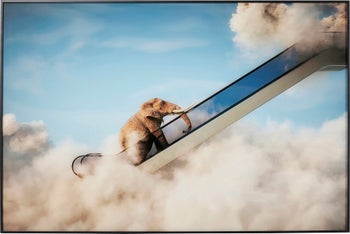 Bilde med Ramme Elefant In The Sky 150x100 cm – bilde-1.