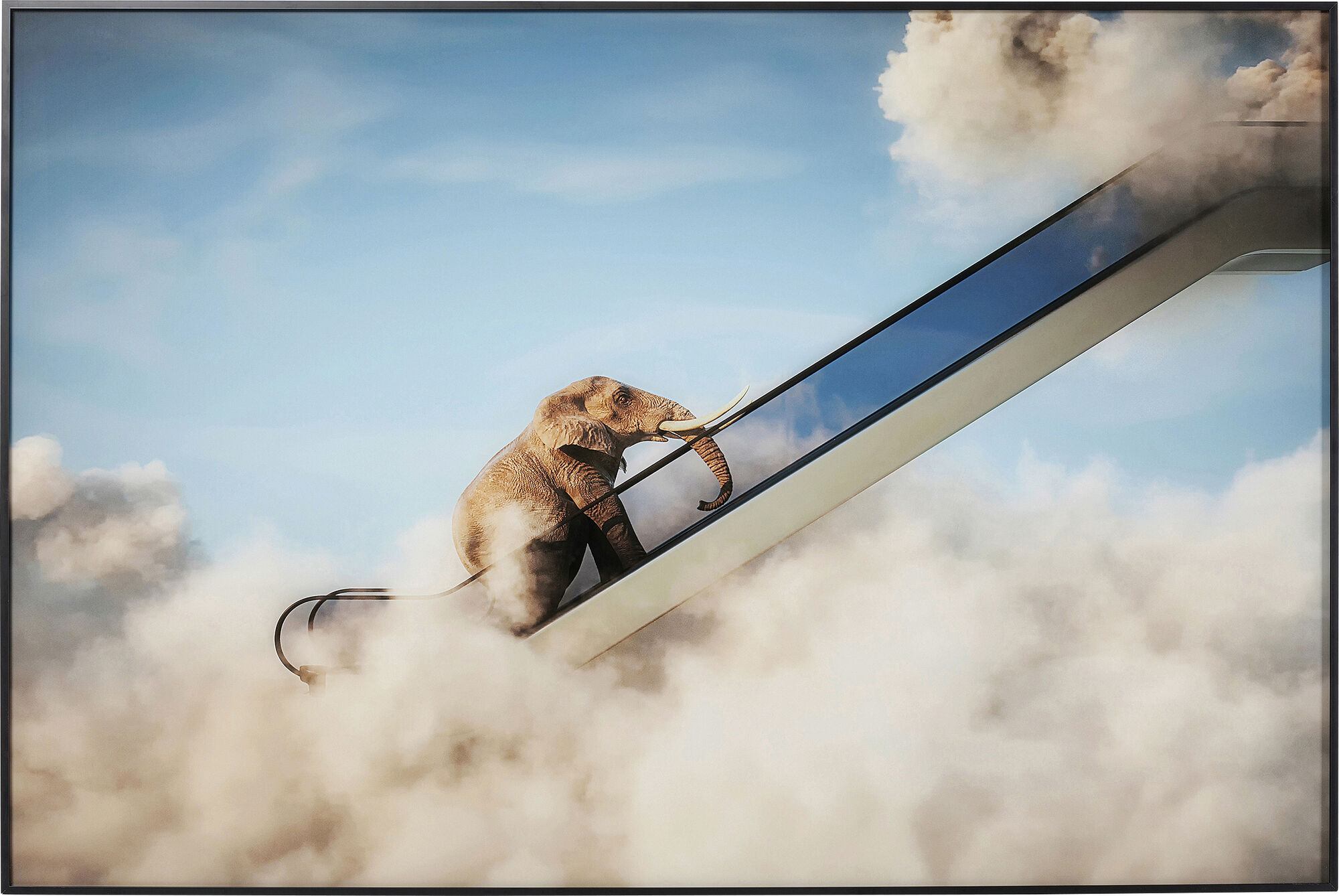 Quadro incorniciato Elephant In The Sky 150x100cm – immagine-1.