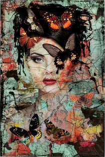 Lady bytterfly, glas billede – billede-1.