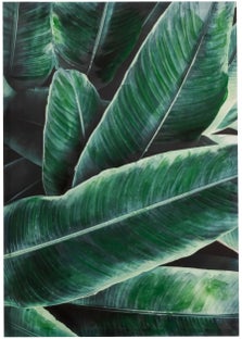 Obraz Leaves 70x100 cm ciemnozielony – obraz-1