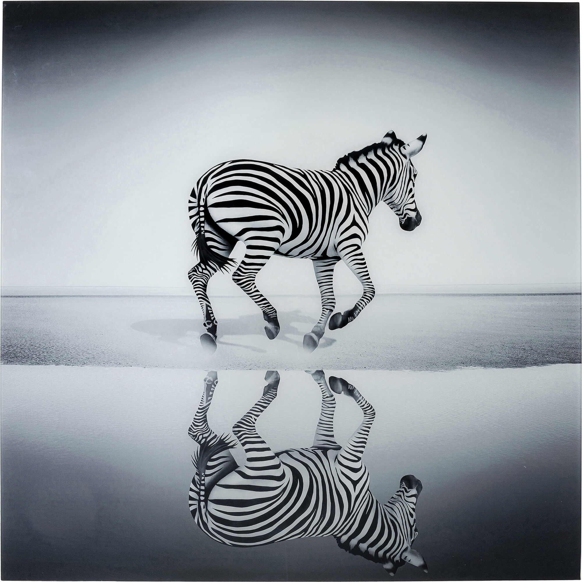 Obraz szklany zebra czarny 120x120 cm – obraz-1