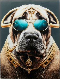 Slika na staklu Fashion Dog 60x80cm – slika-1.