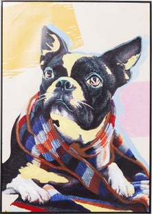 Obraz Touched Lazy Toto 72x102 cm – obraz-1