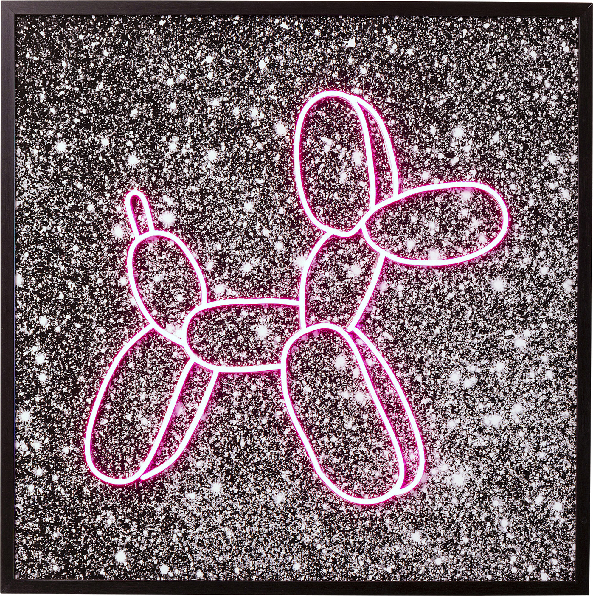 Quadro vetro Balloon Dog LED 80x60cm – immagine-1.