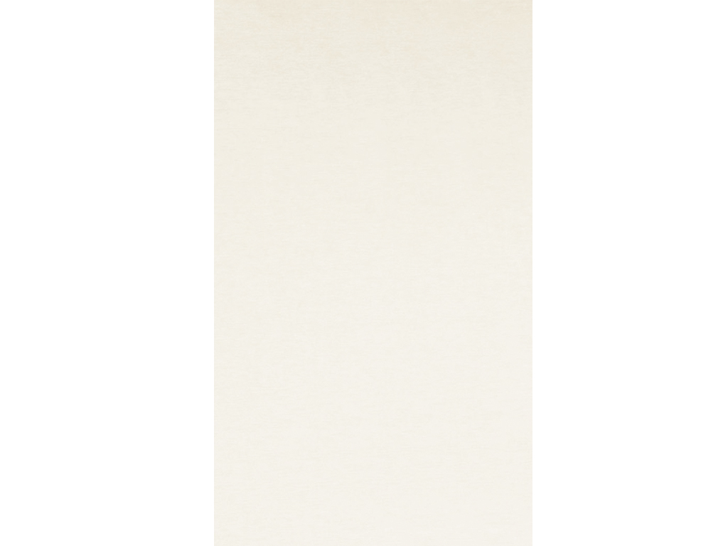 Панел едноцветен 245/60, крем – изображение-1