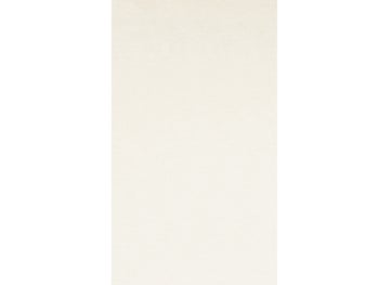 Панел едноцветен 245/60, крем – изображение-1