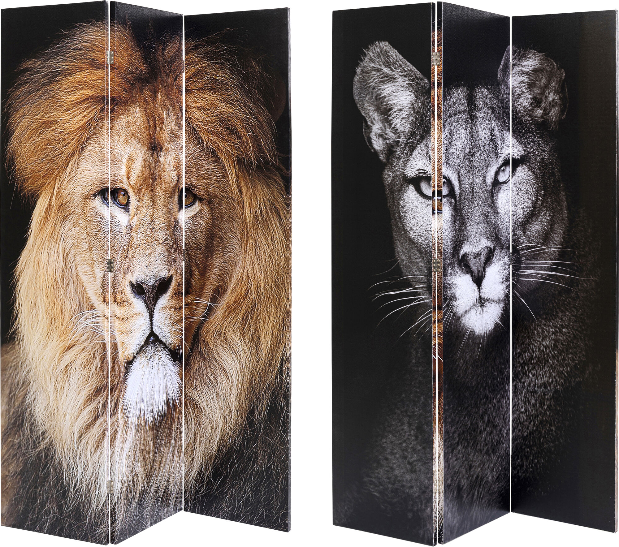 Parawan 3 panelowy drewno jesionowe czarny z motywem zwierzęcym 120x180 cm – obraz-1