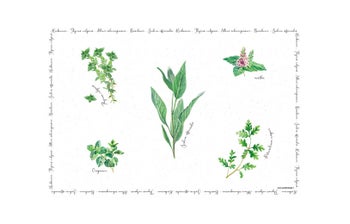 Подложка за хранене HERBARIUM – изображение-1