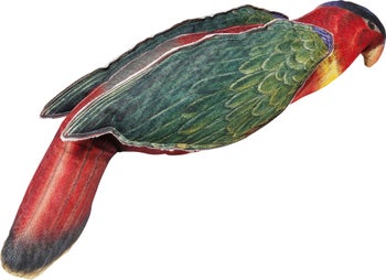 Poduszka dekoracyjna Shape Bird 20x72 cm – obraz-1