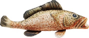 Poduszka dekoracyjna Shape Fish Dots 47x25 cm – obraz-1