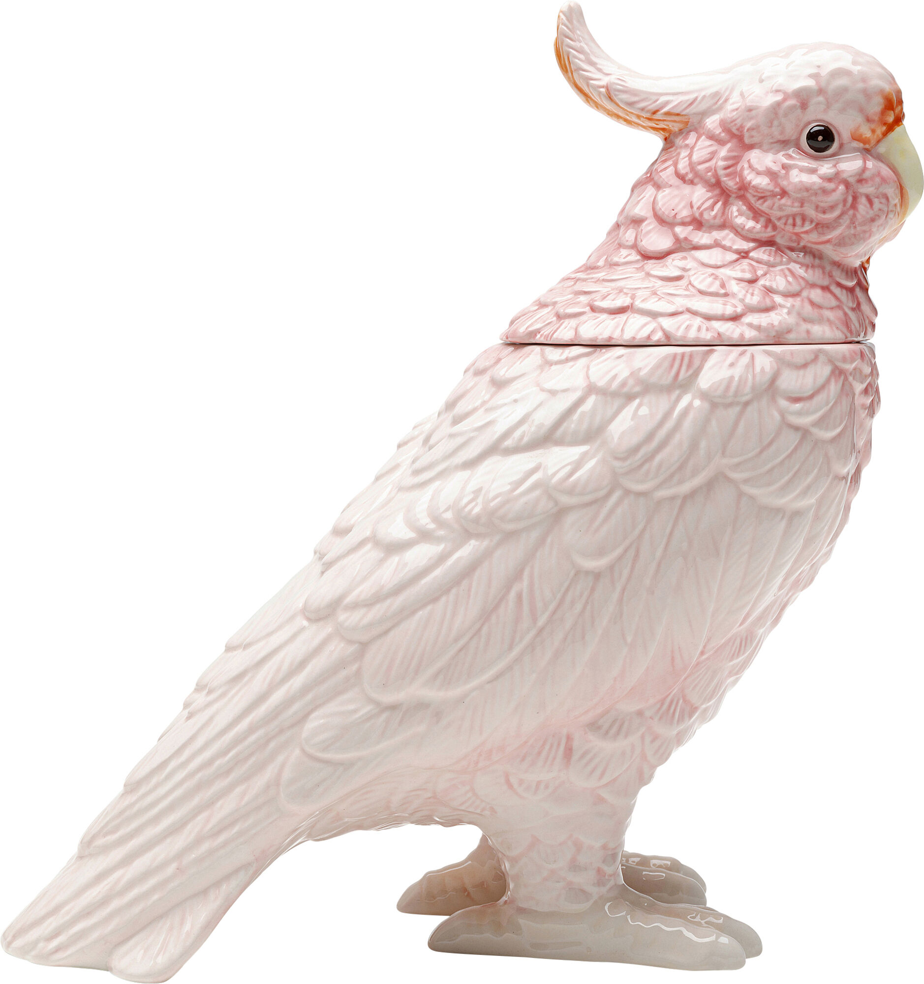 Caja Deco Exotic Bird 23cm – Imagen-1.