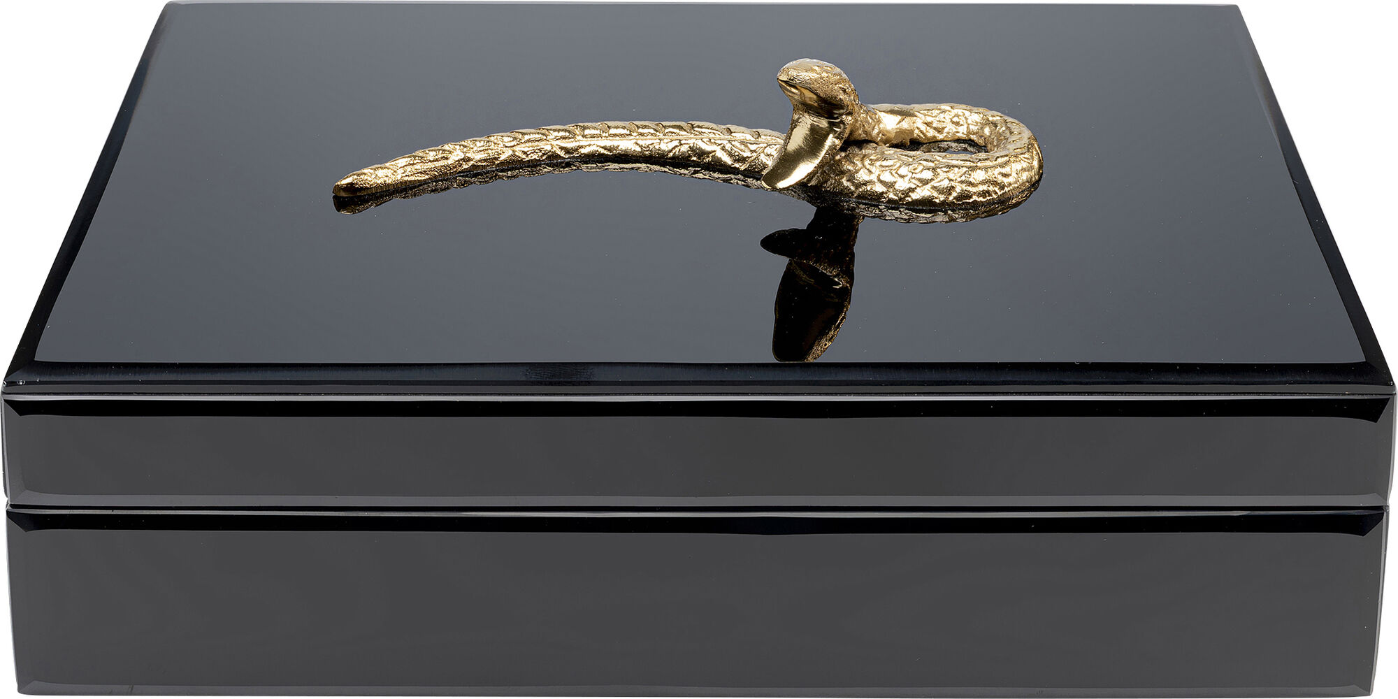 Box Snake Bite Black 28x7cm – Imagen-1.