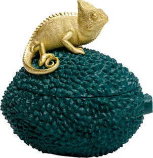 Dekoratyvinė dėžutė Chameleon 20 – paveikslėlis-1.