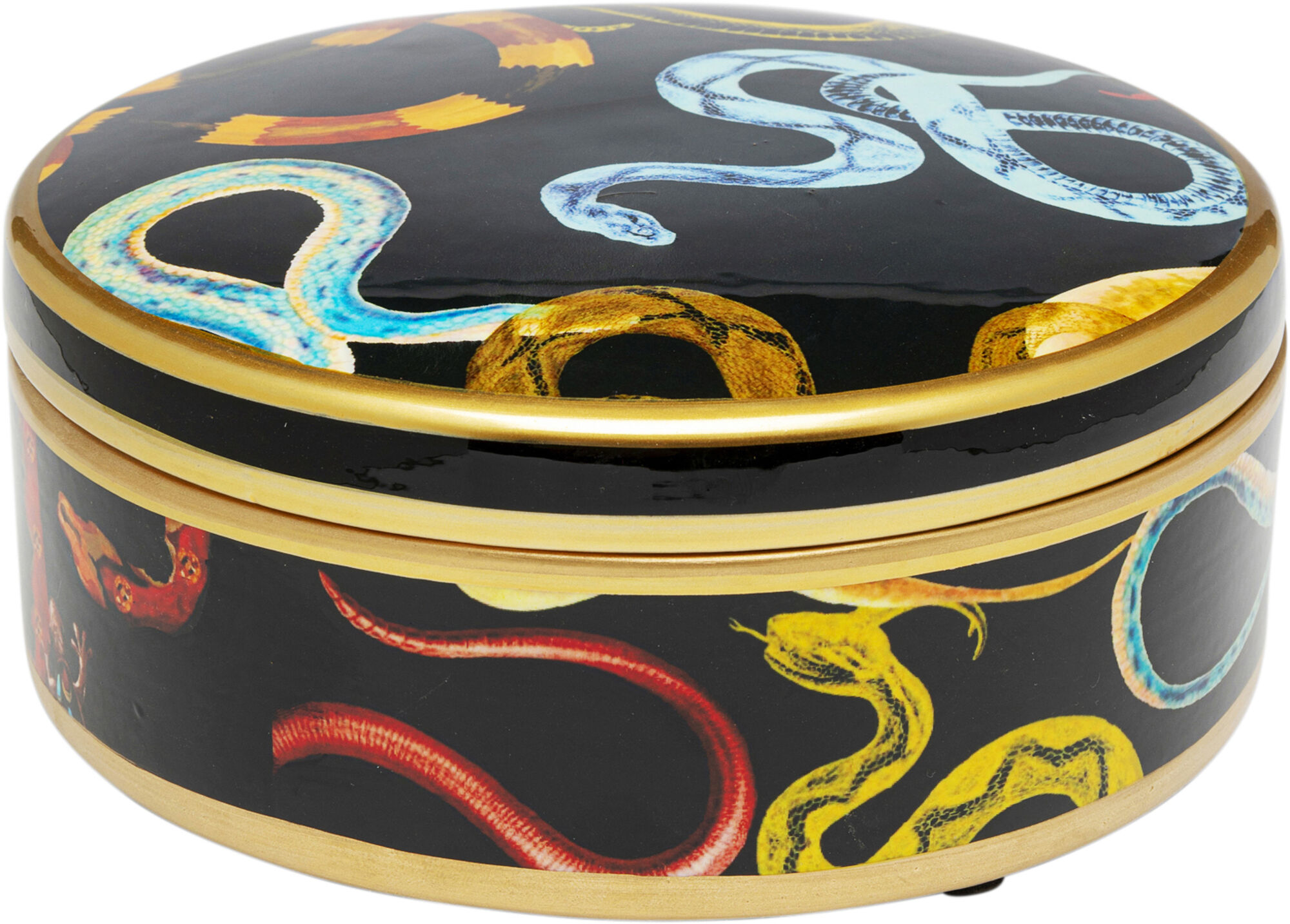 Scatola decorativa Snake Party Ø19cm – immagine-1.