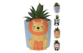 Разстение в керамична саксия – изображение-1