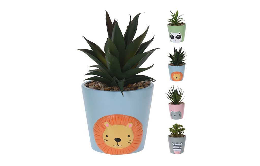 Разстение в саксия – изображение-1