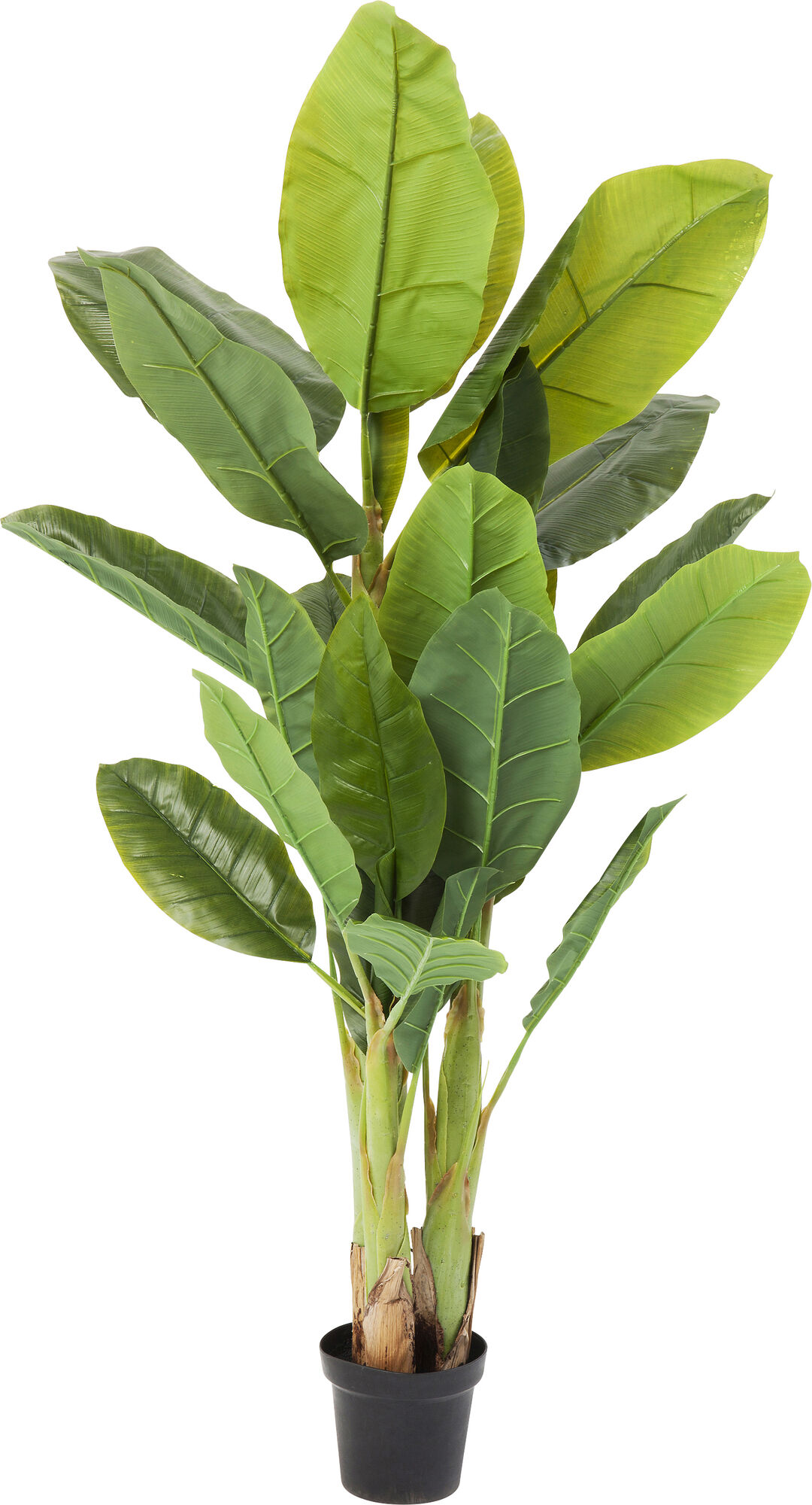 Deco Plant Banana Tree 180cm – billede-1.