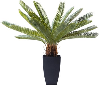 Roślina dekoracyjna sztuczna Sagowiec 78cm – obraz-1