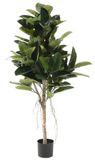 Roślina dekoracyjna 50x150 cm – obraz-1