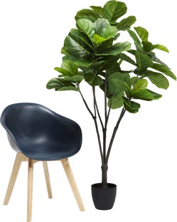 Planta decorativa Fiddle Tree 160cm – imagine-1.