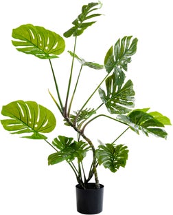Monstera Művirág 110 Cm – kép-1.
