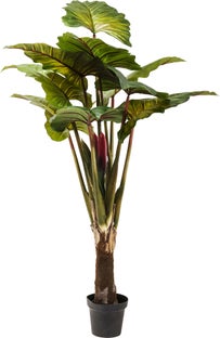 Planta deco Rainforest verde 160cm – Imagen-1.