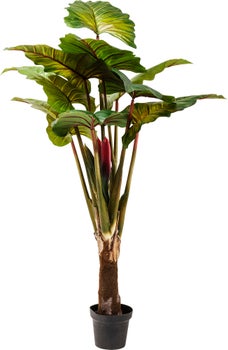 produkt: Konstväxt Rainforest, 160cm.