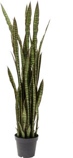 Dekoratyvinis dirbtinis augalas Sansewieria 155cm – paveikslėlis-1.