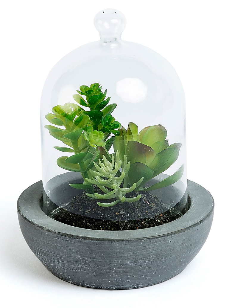 Roślina dekoracyjna sztuczna Sukulent doniczka ceramiczna 13cm – obraz-1